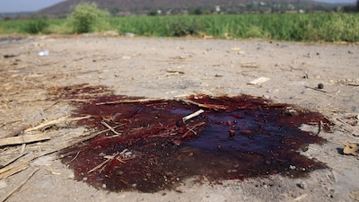 Imagen ilustrativa. Siete cuerpos fueron encontrados a la orilla de una carretera en Guerrero (Foto: MARGARITO PÉREZ RETANA/CUARTOSCURO)