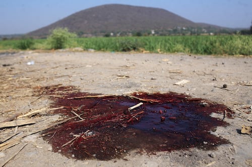 Horror en Guerrero: Siete cuerpos desmembrados aparecen en la carretera Tlapa