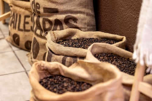 El café: una historia que debemos seguir cultivando