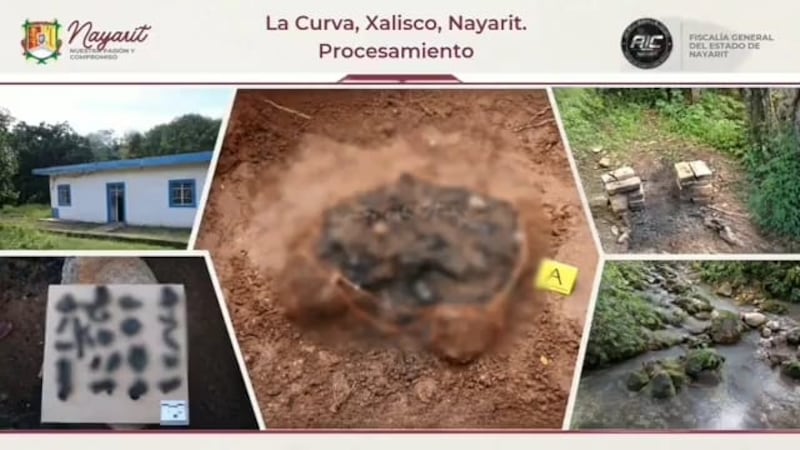 Presunto campo de exterminio en Xalisco: CNB envía equipo técnico a Nayarit