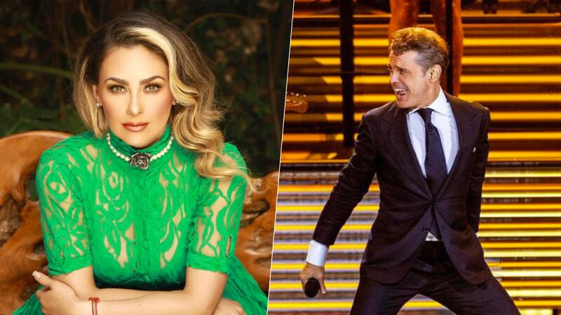 ¿Aracely Arámbula ya demandó a Luis Miguel por ser ‘deudor alimentario’? Esto sabemos
