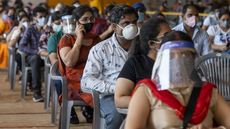 Primer caso de hongo amarillo en la India: provoca insuficiencia orgánica y necrosis