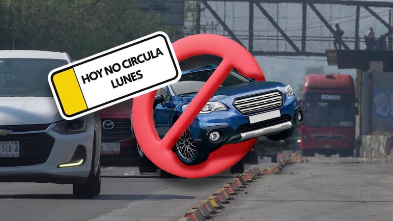 ¿Vas por flores amarillas? Así aplica el Hoy No Circula del lunes 21 de septiembre en CDMX y Edomex