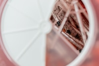 Bacteria Burkholderia: EU advierte por alta mortalidad a los pacientes que se contagian