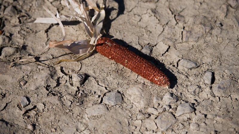 Uxmal, Irán, la sequía extrema y la desaparición
