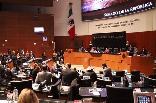 Senado aprueba reformas para prohibir el matrimonio infantil