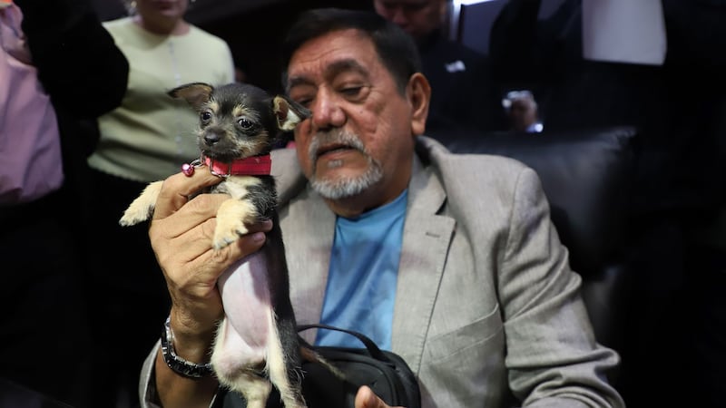 ‘Ningún familiar en el poder’: Salgado Macedonio acusa que en Morena hay nepotismo y señala a Luisa Alcalde