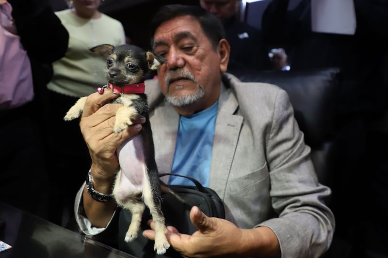 ‘Ningún familiar en el poder’: Salgado Macedonio acusa que en Morena hay nepotismo y señala a Luisa Alcalde