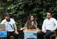 Proyecto de gas natural es frenado por... ballenas: Impiden a buques navegar en Golfo de California