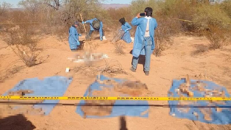 Madres buscadoras hallan cementerio clandestino en desierto de Altar, cerca de Sonoyta