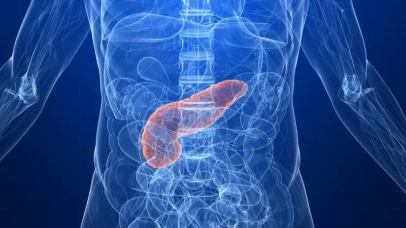 Pancreatitis: ¿Qué es y qué alimentos ‘detonan’ esta enfermedad?