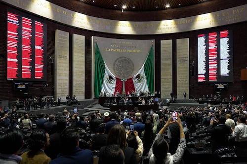 Entre la lealtad y el instinto de conservación