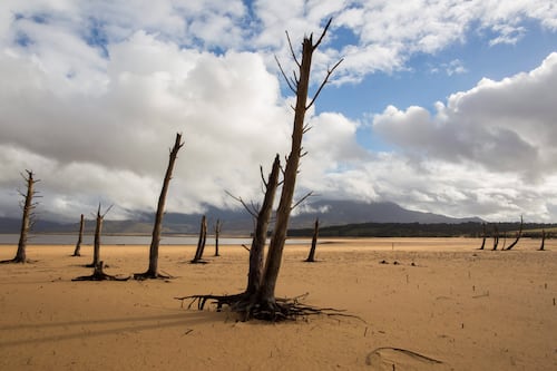 El cuento del fin del mundo