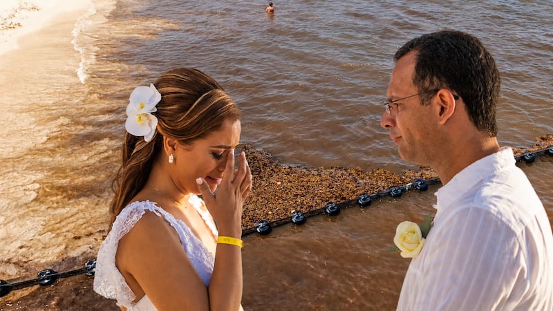 Y vivieron ‘ensargados’ para siempre: Sargazo en el Caribe mexicano ‘echa a perder’ 10 mil bodas