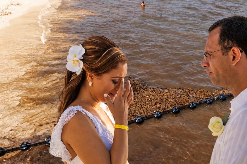 Y vivieron ‘ensargados’ para siempre: Sargazo en el Caribe mexicano ‘echa a perder’ 10 mil bodas