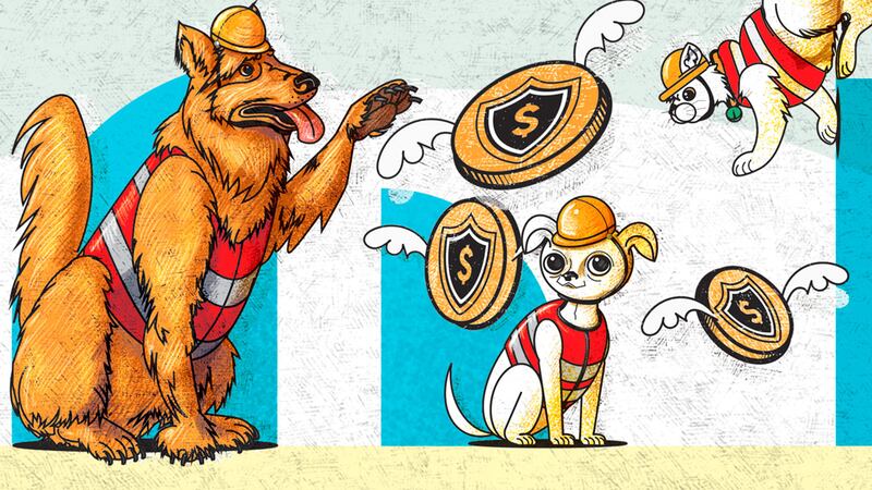 Michis y lomitos protegidos: conoce el seguro para mascotas