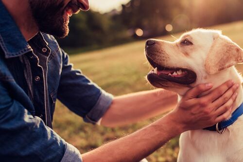 ‘¡A echar cigarro a otro lado!’ Estas son las consecuencias de fumar cerca de los perros