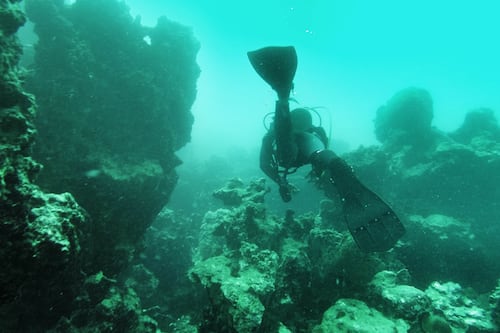 Buceo en barcos hundidos, lo que no te puedes perder en BCS