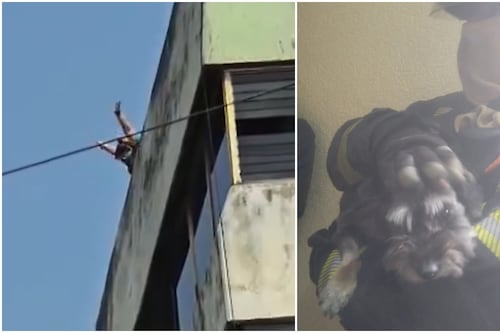 (VIDEO) ¿Qué pasó en un edificio de la Roma? Captan a personas pidiendo ayuda desde una azotea