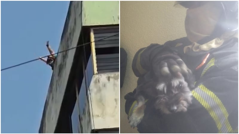 (VIDEO) ¿Qué pasó en un edificio de la Roma? Captan a personas pidiendo ayuda desde una azotea