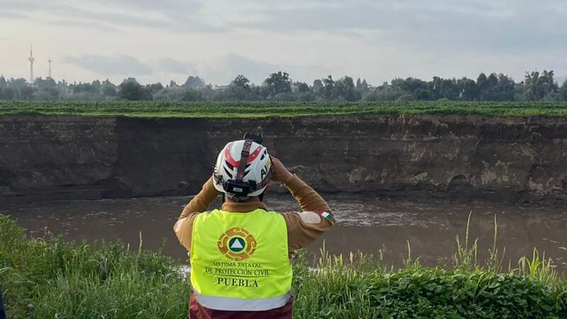 ¿Un tercer perro cayó al socavón de Puebla? Esto es lo que sabemos