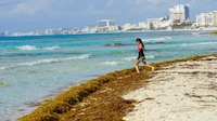 Calor extremo ‘calentará’ la Península de Yucatán este jueves 1 de octubre; también esperan lluvias