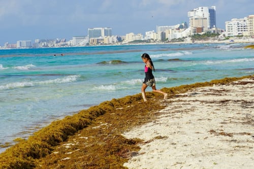 Calor extremo ‘calentará’ la Península de Yucatán este jueves 1 de octubre; también esperan lluvias