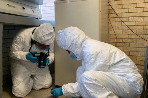 Alumna de Prepa 2 de la UNAM muere en el plantel; Fiscalía CDMX ya investiga