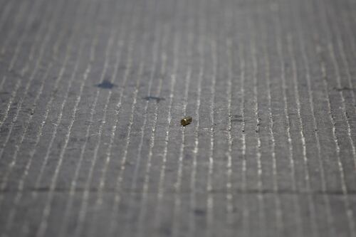 Asesinan a policía de la SSC CDMX dentro de un complejo residencial en Polanco