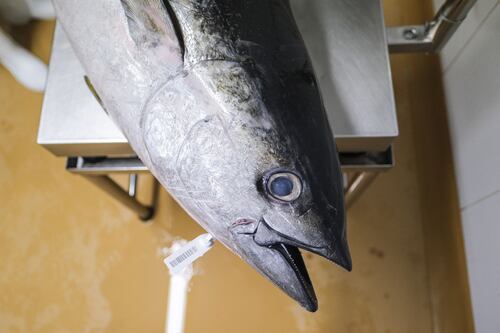 KUO vende marca y operación de atún Nair