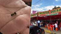 Le dio en el clavo: Va a puesto de barbacoa en Hidalgo y termina con diente roto