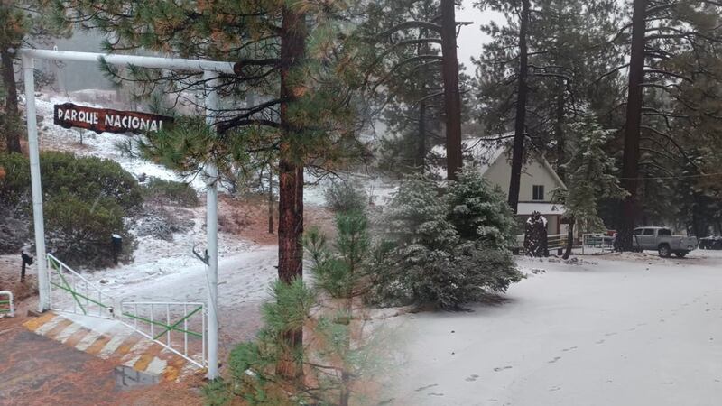 (FOTOS) ¿Eres tú, Rodolfo? Primera nevada de la temporada cubre de nieve a Ensenada y La Rosilla