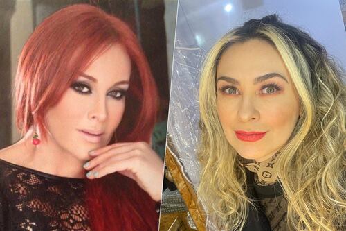 ¿Exesposo de Lina Santos le fue infiel con Aracely Arámbula? Dice que ya no le guarda rencor