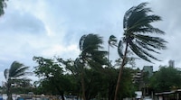 Se forma ‘Amanda’, primera tormenta tropical de 2026 en el Pacífico: ¿Dónde está e impactará a México?