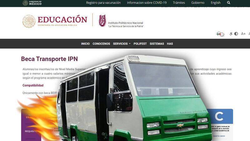 Beca transporte IPN: ¿De cuánto es el apoyo, cómo y quiénes pueden solicitarlo?
