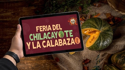 Estos son los detalles de la Feria del Chilacayote y la Calabaza. (Foto: Captura/ChatGPT/Shutterstock)