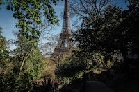 La nueva estrategia de París vs. olas de calor: Plantar árboles más resistentes
