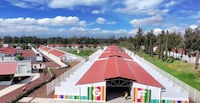 ¿Cómo es el Centro Xolotl en Venustiano Carranza que da hogar a 600 perros y gatos?