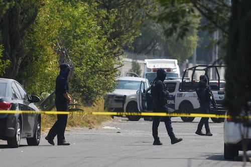 Hombre libera a leones de la Reserva Los Pinos en Ocoyoacac