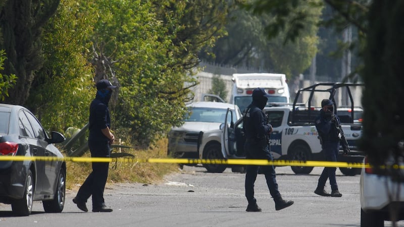 Hombre libera a leones de la Reserva Los Pinos en Ocoyoacac