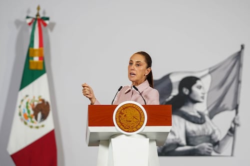 Alguien está provocando que se hagan osos en Palacio
