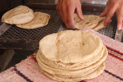 Kilo de tortilla en México: ¿En qué ciudades se vende más caro y más barato?