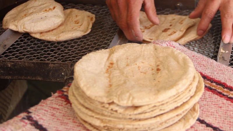 Kilo de tortilla en México: ¿En qué ciudades se vende más caro y más barato?