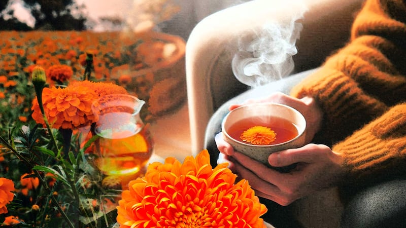 ¿Qué beneficios tiene el té de cempasúchil?