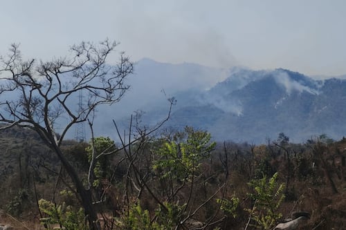 Incendio en Acapulco: Fuego consume 512 hectáreas; 250 son del parque El Veladero