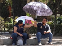 Onda de calor a 2x1: ‘Recorrerán’ México esta semana; ¿dónde se esperan hasta 45 grados centígrados?