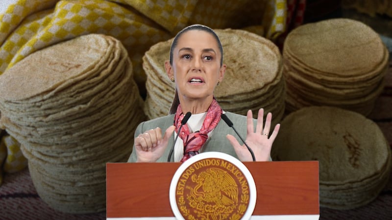 Sheinbaum le pone un ‘estate quieto’ a tortilleros: ‘No hay razón para que suba kilo de tortilla’
