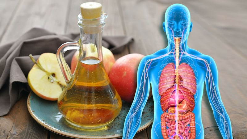 ¿Qué órganos afecta el vinagre de manzana?