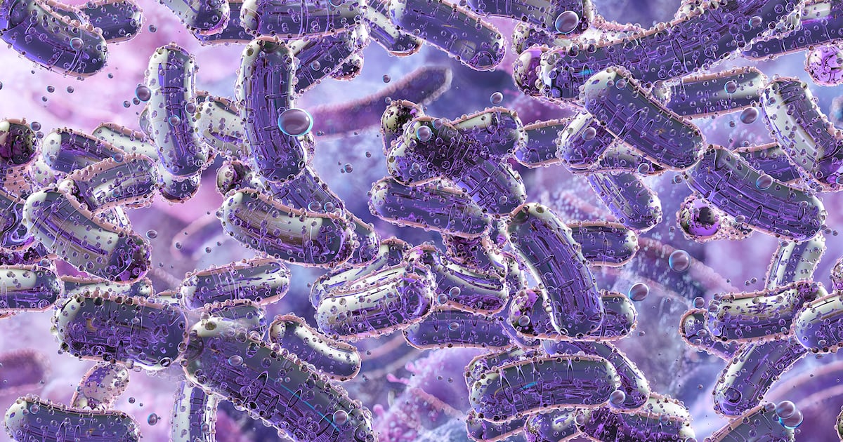 Qué es la bacteria Klebsiella pneumoniae? Fue la causa de muerte de 3 bebés en hospital de Jalisco