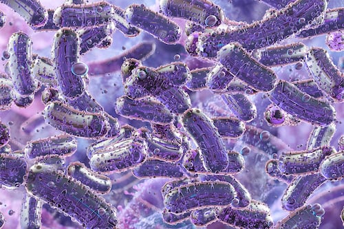 ¿Qué es la bacteria Klebsiella pneumoniae? Fue la causa de muerte de 3 bebés en hospital de Jalisco
